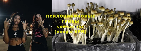 кокаин перу Богданович