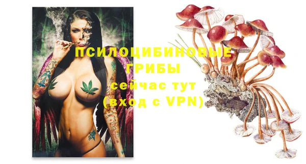 кокаин перу Богданович