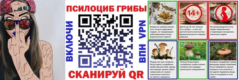 Псилоцибиновые грибы MAGIC MUSHROOMS  даркнет сайт  Новосибирск 
